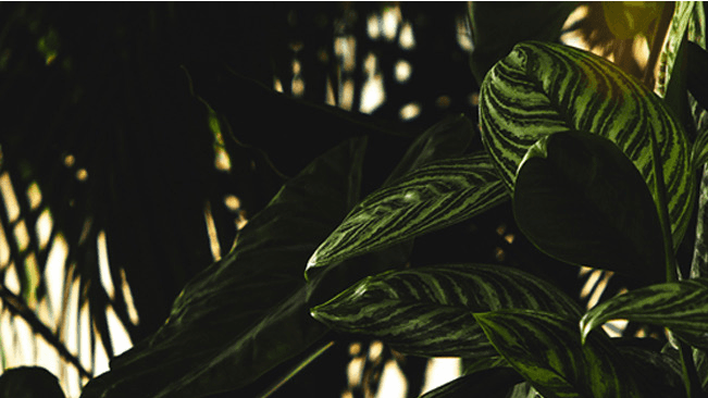 Nordic Green Design AB banner